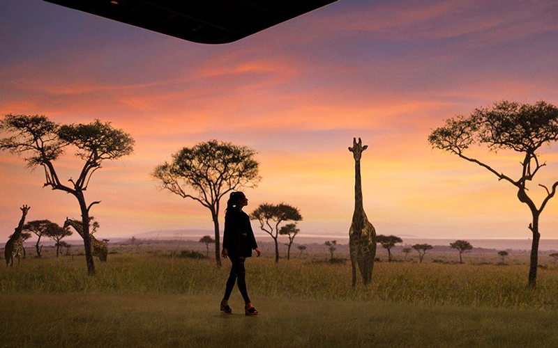 体験型シアター施設「Illuminarium」