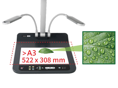 広い撮影エリア