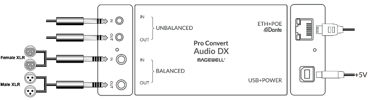 MAGEWELL Pro Convert Audio DXインターフェイス