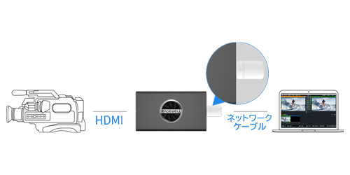 タリーライトのプログラムとプレビュー