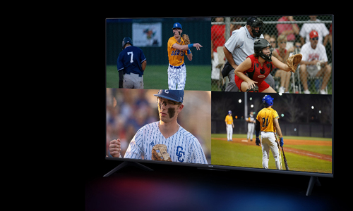 マルチビュー表示に対応